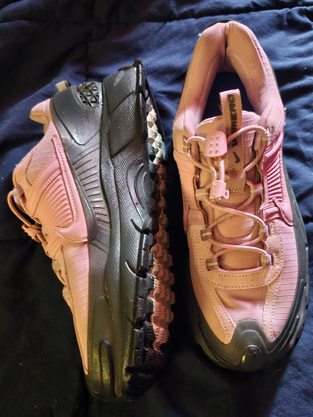 Nike Women's Pink Trail Running Sneakers